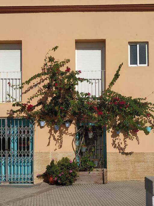 Apartment Canastas Centro Cadiz